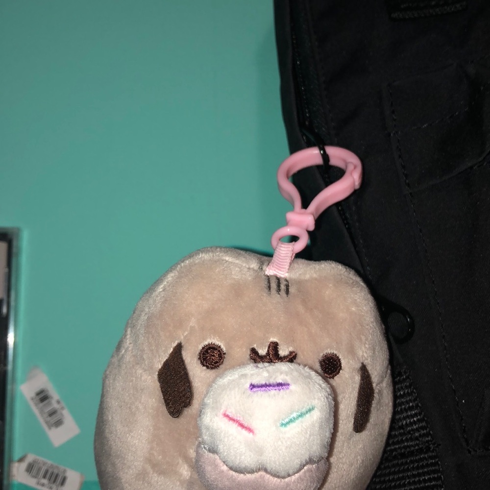 pusheen keychain and pin